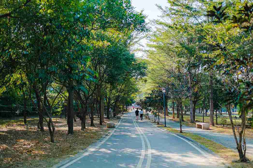 嘉義市河濱運動公園