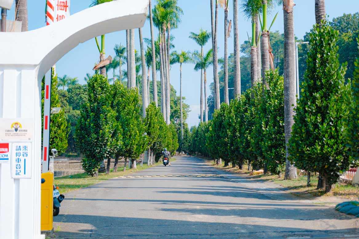 嘉義農業試驗分所