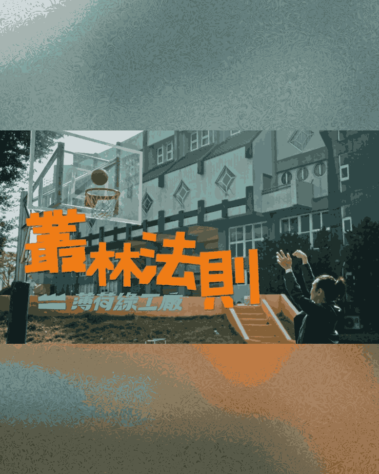 叢林法則