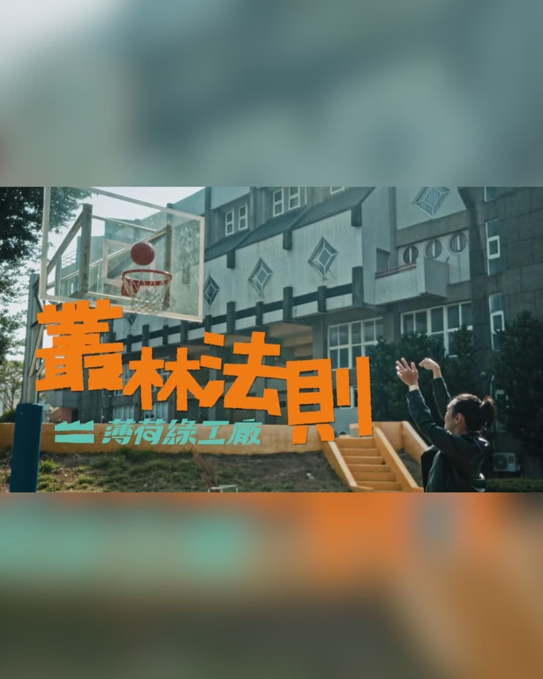 叢林法則